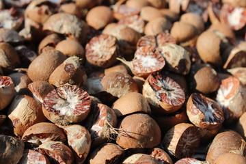 Dried figs wallpaper