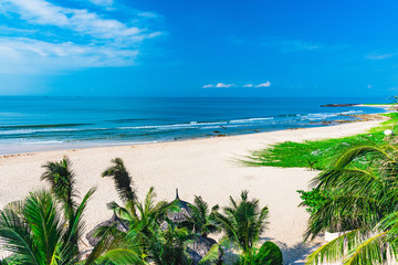 paradise resort beach palm tree sea