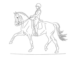 Equestrian sport. Vector illustration of a dressage rider on a horse.