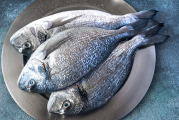 Sea bream (dorada) fish