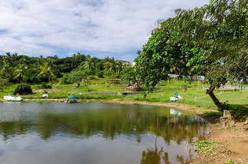 parque pituaçu com um olhar de paz - 232297840