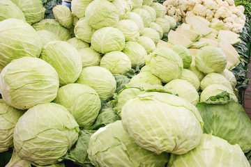 Turkish farmer market. Heap of fresh organic vegetables on the counter cabbage, cauliflower.