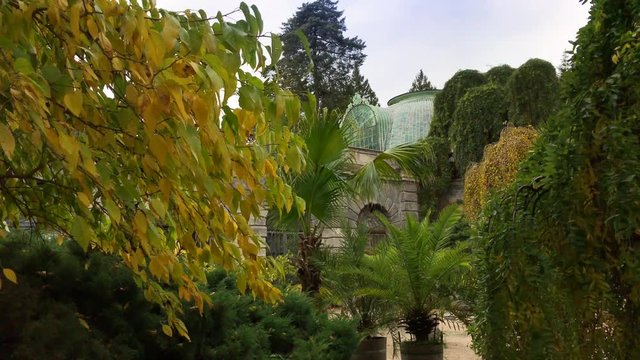 Greenhouse at Lednice castle from different perspectives in autumn, South Moravia, Czech Republic. Few shots of orangery in Lednice-Valtice Cultural Landscape. Winter garden at chateau Lednice in fall