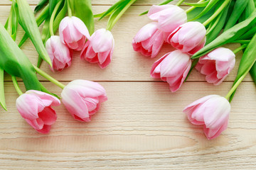 Beautiful pink and white tulips on wood
