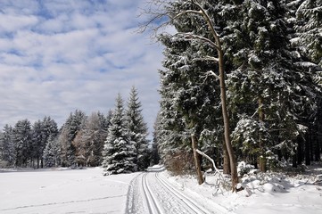 Verschneite Landschaft am Rennsteig