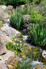 Ziergarten mit kleinem Bach