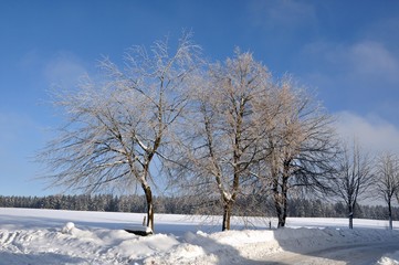 Fototapeta na wymiar Winter in Ernstthal