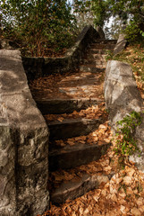 Fototapeta na wymiar stairs in the park