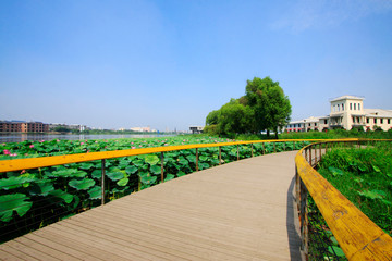 Fototapeta premium Water park scenery