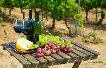 Red wine, cheese and grapes against vineyard