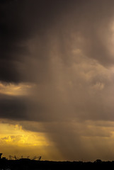 Downpour with landscape