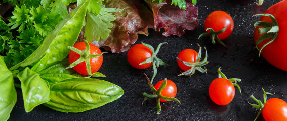 Fresh varieties of tomato and aromatic herbs spice parsley, dill on a dark background, food background, the idea of organic food