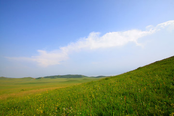 Fototapeta na wymiar blue sky and white clouds in the WuLanBuTong grassland, China