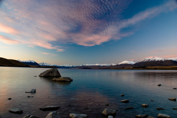 Lake Tekapo and sunset and bird