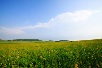 blue sky and white clouds in the WuLanBuTong grassland, China