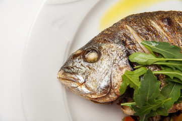 Dorada fish head close up. Grilled dorade on a white plate with sauce, arugula on a white plate isolated on white background