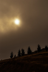 Naklejka premium Sunrise in fog