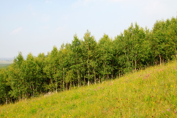 Obraz premium WuLanBuTong grassland scenery, China