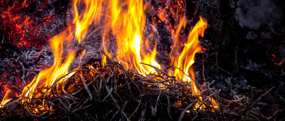 Bright fire on a dark background at night, panorama_