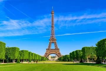Zelfklevend Fotobehang Paris Eiffel Tower and Champ de Mars in Paris, France. Eiffel Tower is one of the most iconic landmarks in Paris. The Champ de Mars is a large public park in Paris © Ekaterina Belova