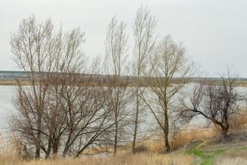 River Bank near the village.