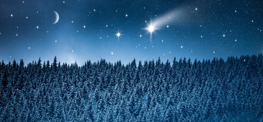 Sternenhimmel über Winterwald