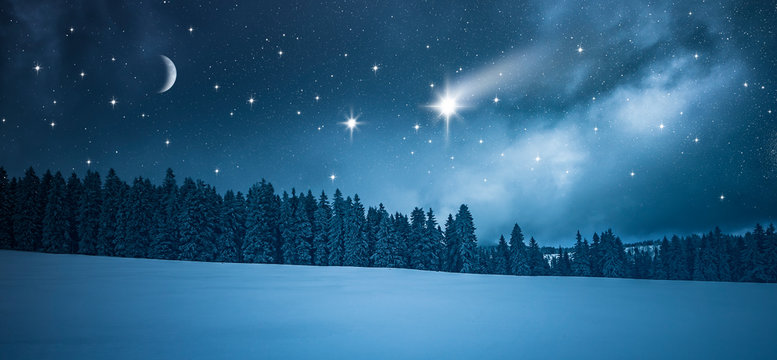 Sternenhimmel &uuml;ber Winterwald