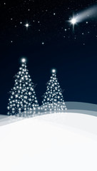 Sternenhimmel über Weihnachtsbäumen