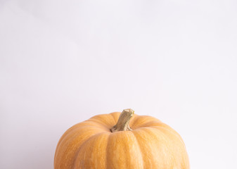 pumpkin on colorful background
