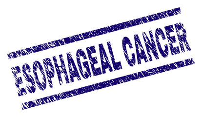 ESOPHAGEAL CANCER seal stamp with distress style. Blue vector rubber print of ESOPHAGEAL CANCER tag with scratched texture. Text tag is placed between parallel lines.