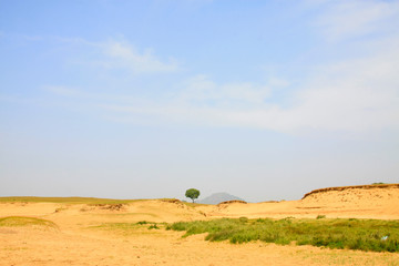 Obraz premium desertification grassland in the WuLanBuTong grassland, China
