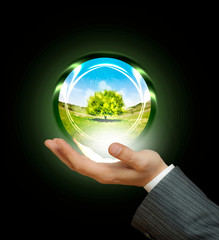 Ecology concept 