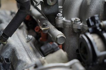 Fototapeta premium Muscle car's engine detail