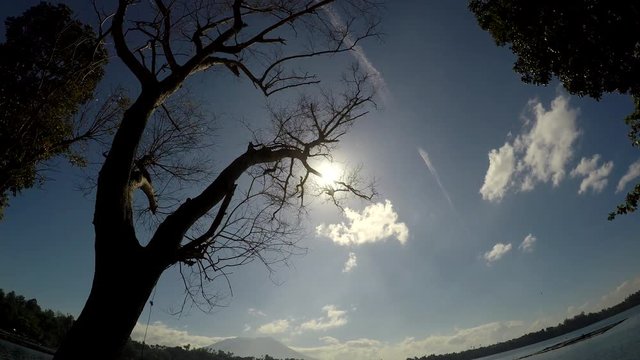 Sampaloc Lake, San Pablo City, Laguna, Philippines - February 25, 2018:  Underside view of Trees and vegetation on mountain lake shore. Low angle rotating shot