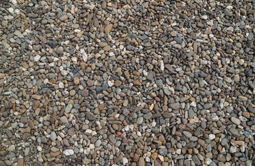 A lot of pebbles on the ground. Natural art background. 