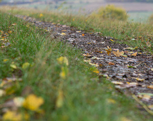 Eine Spur Herbst, der Feldweg im Herbst,Laub