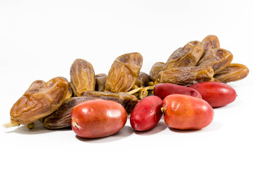 Fresh red date fruits and A bunch of dried red date palm