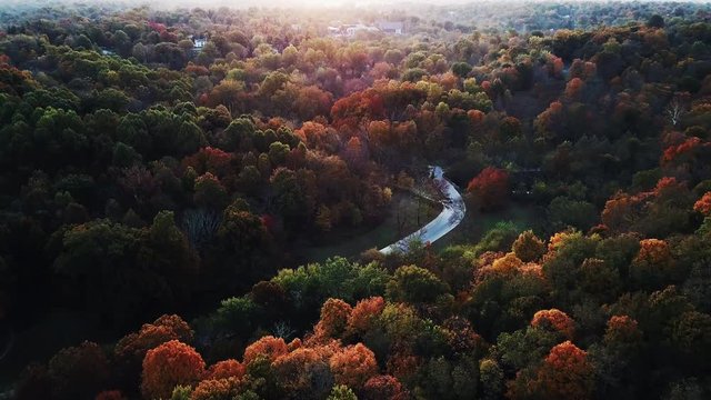 Flying above the stunning colorful treetops in Louisville with leaves turning colors on sunny morning. Beautiful autumn trees in yellow, orange and red forest on sunny autumn day. Fall foliage in city