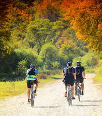 Obraz premium Cycling, mountain biker on cycle trail in autumn forest.