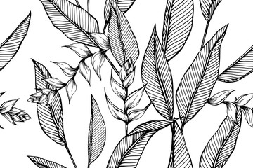 Hawaiian flower tropical leaves pattern seamless background illustration.