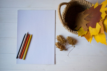 White paper, multi-color pencils and autumn leaves in a basket on the desk.