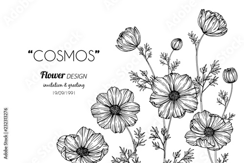 Collection Of Flowers Drawing And Sketch With Line Art On