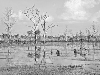 background of Tonle sap lake at Cabodia in black and white colors 
