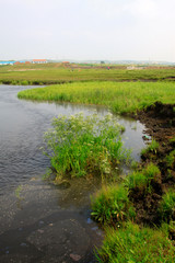 Tuligen River scenery in the grassland, Xilin gol league, China © junrong