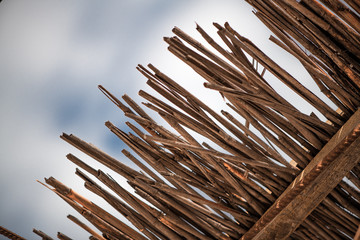 Abstrakt background from dry bamboo branches texture