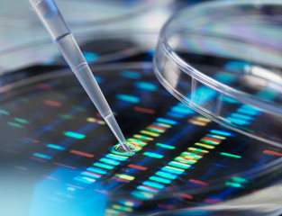 Pipette adding sample to petri dish with DNA profiles in background