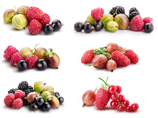 Berries (raspberry, blackcurrant, blackberry, gooseberry) isolated on white background.