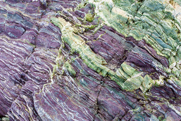 Macro textures of ultra violet and green wet sea rocks.
