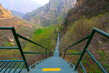stone forest canyon scenic spot metal plank road
