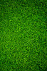 Plakat Artificial grass background